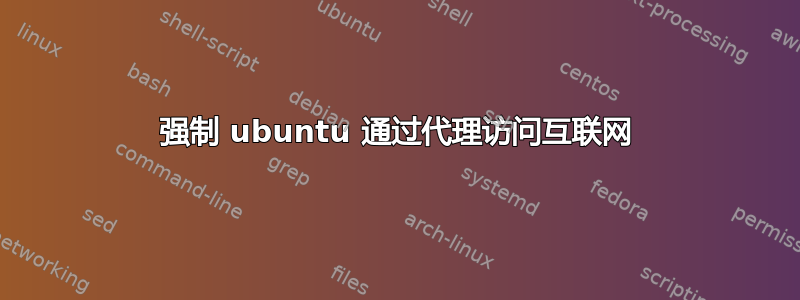 强制 ubuntu 通过代理访问互联网