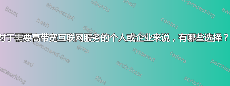 对于需要高带宽互联网服务的个人或企业来说，有哪些选择？