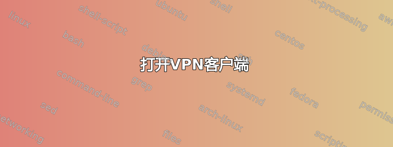 打开VPN客户端