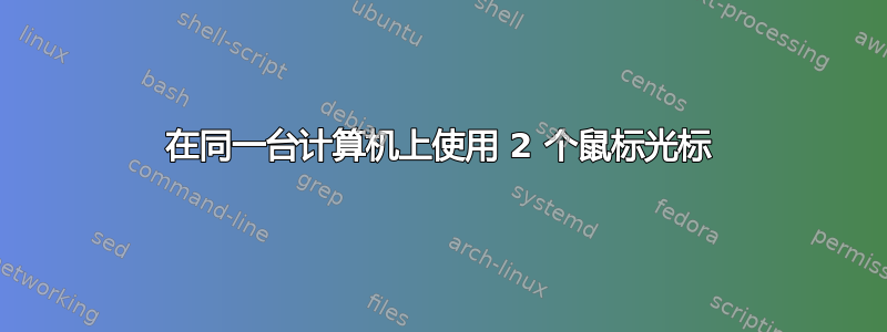 在同一台计算机上使用 2 个鼠标光标