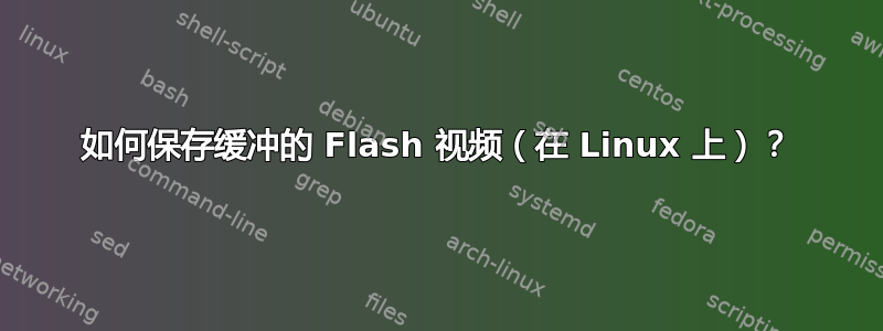 如何保存缓冲的 Flash 视频（在 Linux 上）？