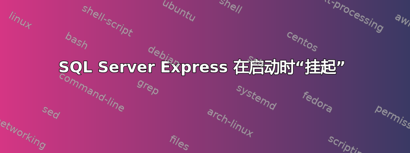 SQL Server Express 在启动时“挂起”