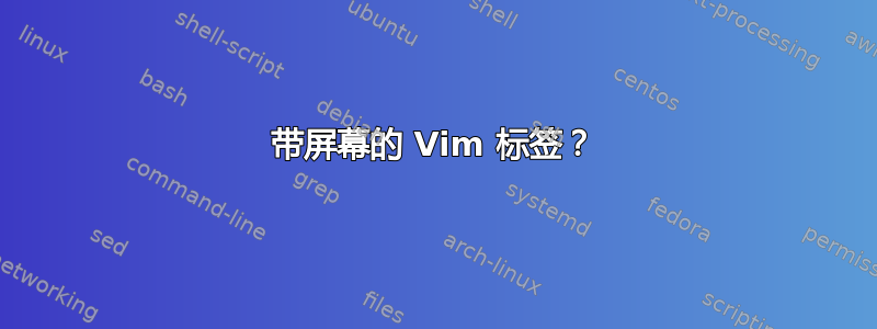 带屏幕的 Vim 标签？