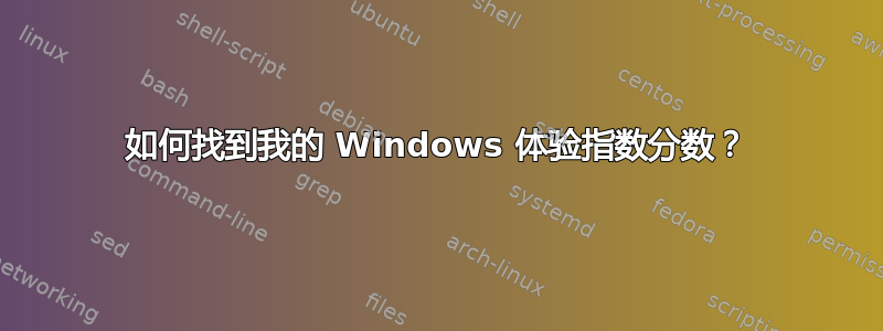 如何找到我的 Windows 体验指数分数？