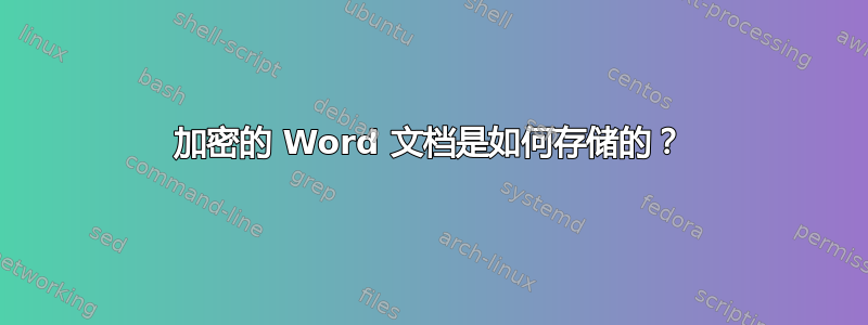 加密的 Word 文档是如何存储的？