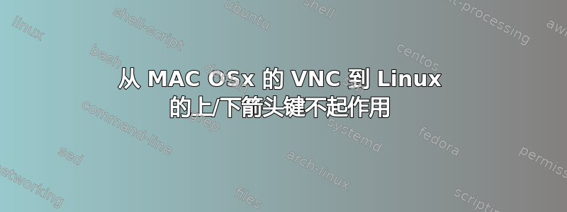 从 MAC OSx 的 VNC 到 Linux 的上/下箭头键不起作用