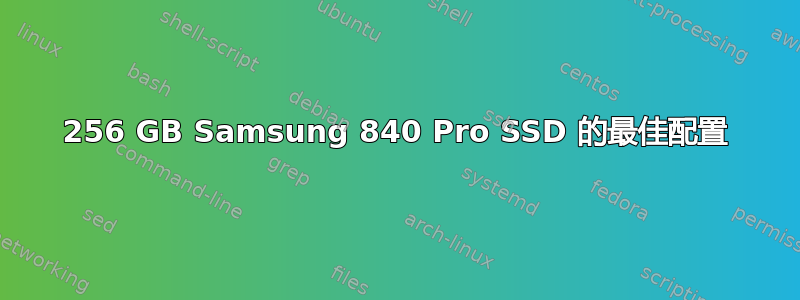 3 256 GB Samsung 840 Pro SSD 的最佳配置 