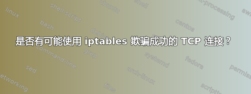 是否有可能使用 iptables 欺骗成功的 TCP 连接？