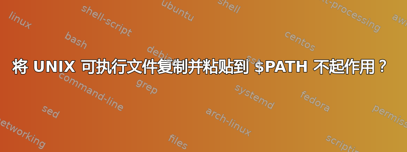 将 UNIX 可执行文件复制并粘贴到 $PATH 不起作用？