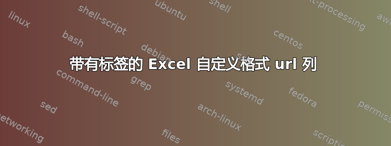 带有标签的 Excel 自定义格式 url 列