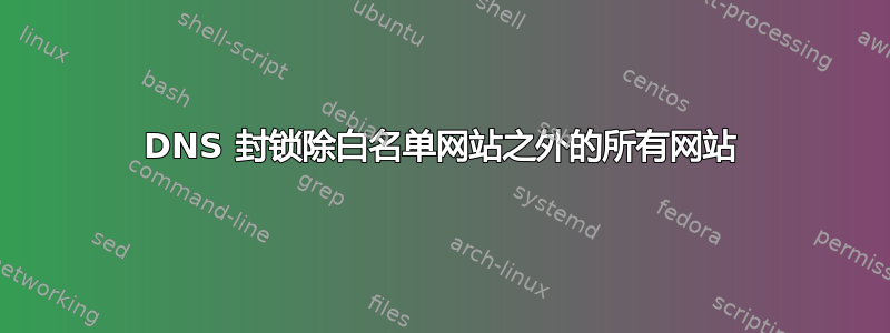 DNS 封锁除白名单网站之外的所有网站