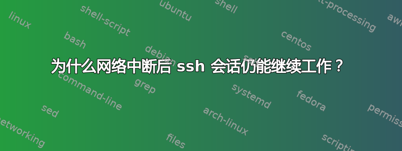 为什么网络中断后 ssh 会话仍能继续工作？