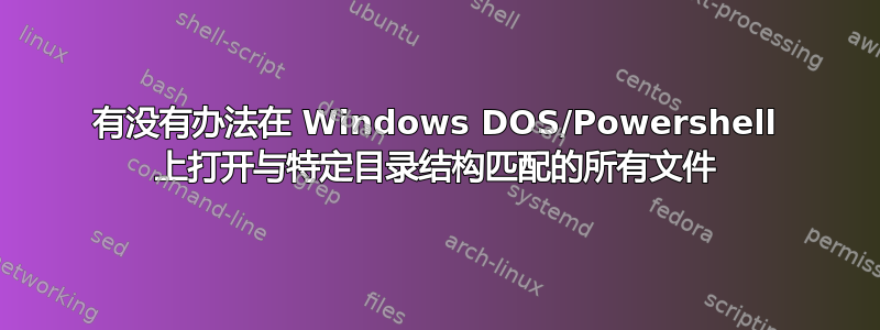 有没有办法在 Windows DOS/Powershell 上打开与特定目录结构匹配的所有文件