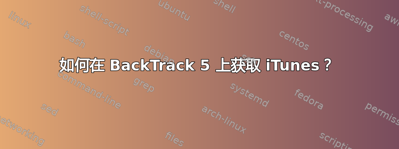 如何在 BackTrack 5 上获取 iTunes？