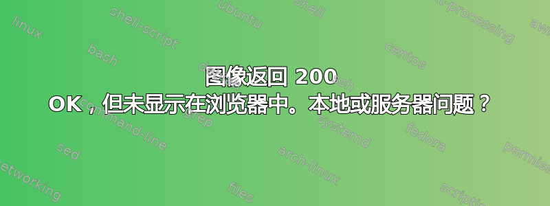 图像返回 200 OK，但未显示在浏览器中。本地或服务器问题？