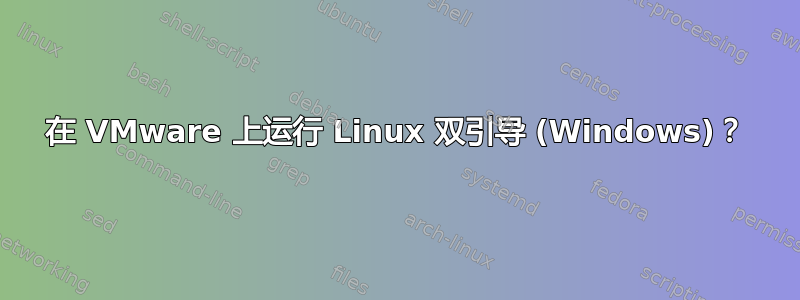 在 VMware 上运行 Linux 双引导 (Windows)？