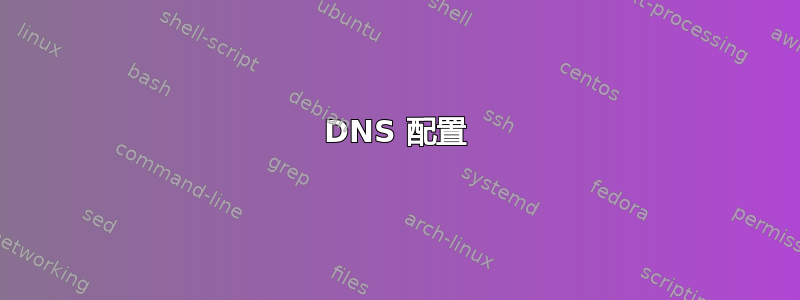 DNS 配置