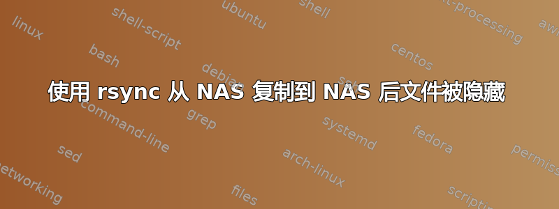 使用 rsync 从 NAS 复制到 NAS 后文件被隐藏