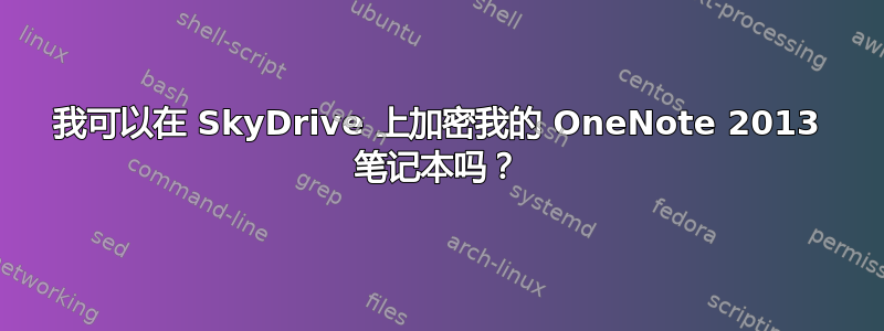 我可以在 SkyDrive 上加密我的 OneNote 2013 笔记本吗？