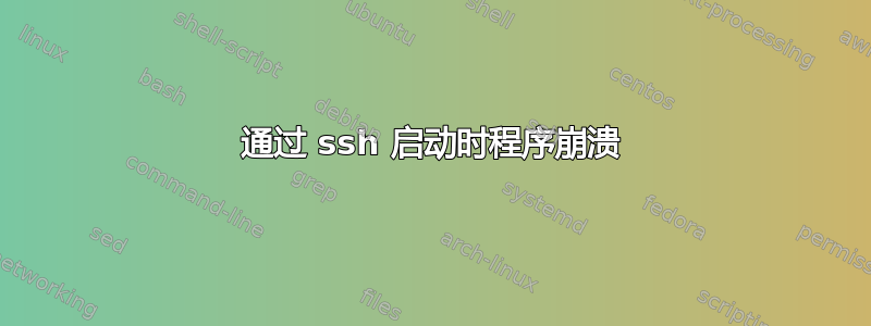 通过 ssh 启动时程序崩溃