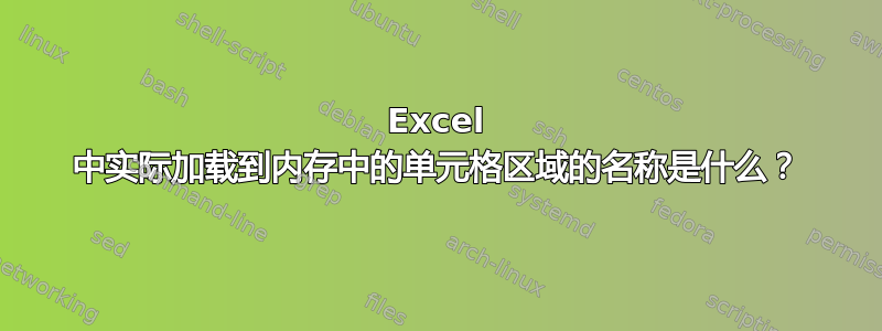 Excel 中实际加载到内存中的单元格区域的名称是什么？