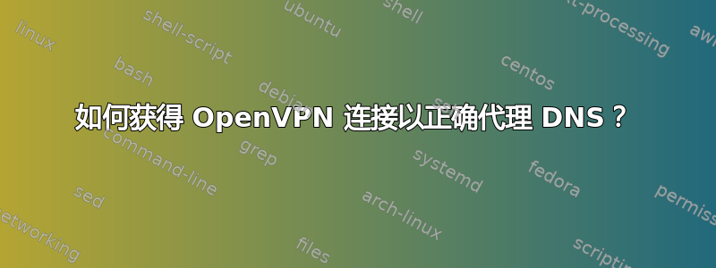 如何获得 OpenVPN 连接以正确代理 DNS？