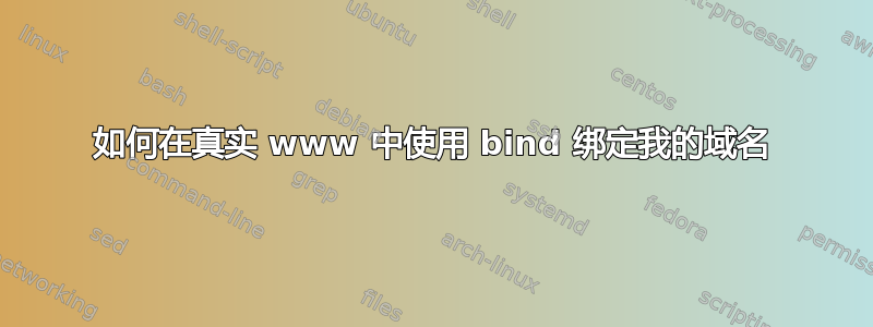 如何在真实 www 中使用 bind 绑定我的域名