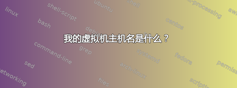 我的虚拟机主机名是什么？