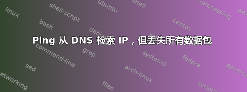 Ping 从 DNS 检索 IP，但丢失所有数据包