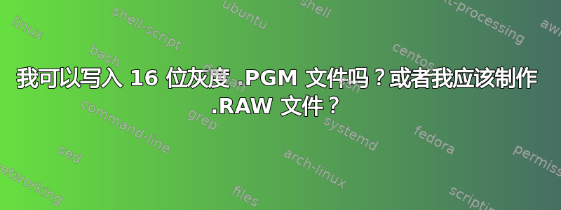 我可以写入 16 位灰度 .PGM 文件吗？或者我应该制作 .RAW 文件？