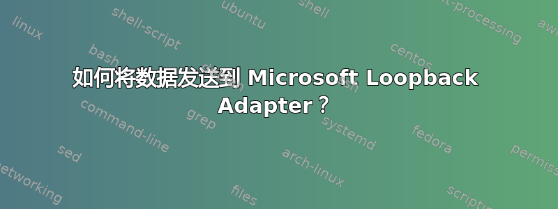 如何将数据发送到 Microsoft Loopback Adapter？