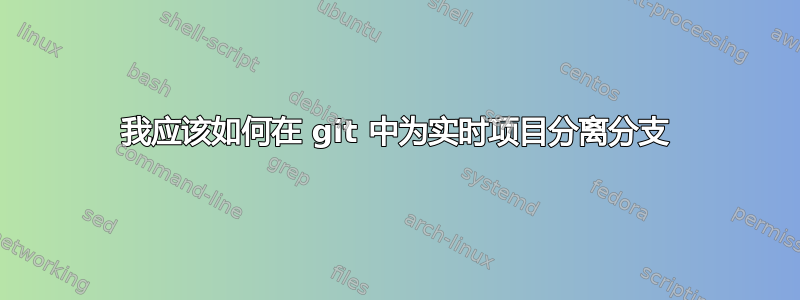 我应该如何在 git 中为实时项目分离分支