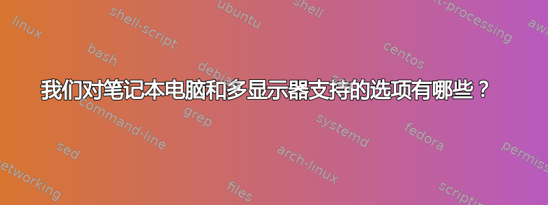 我们对笔记本电脑和多显示器支持的选项有哪些？ 