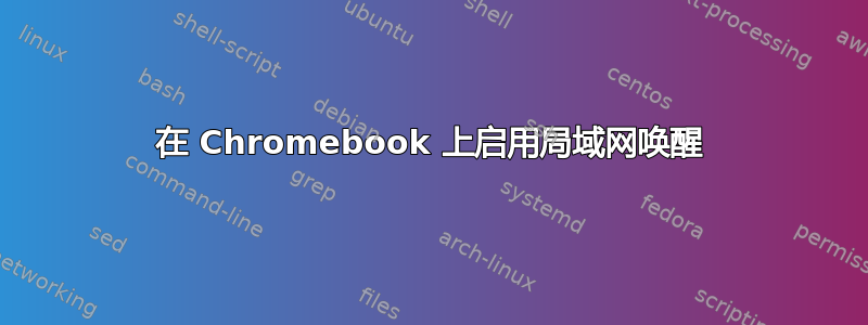 在 Chromebook 上启用局域网唤醒