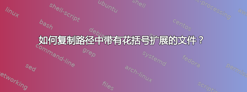 如何复制路径中带有花括号扩展的文件？