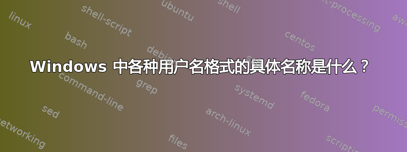 Windows 中各种用户名格式的具体名称是什么？