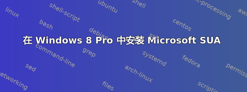 在 Windows 8 Pro 中安装 Microsoft SUA