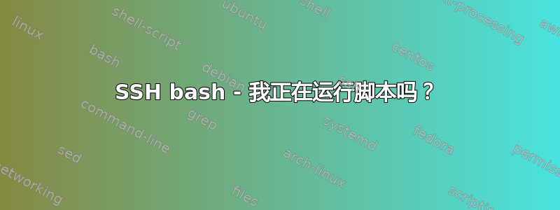 SSH bash - 我正在运行脚本吗？