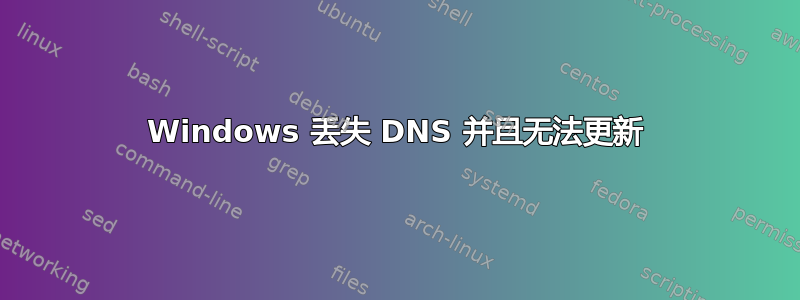 Windows 丢失 DNS 并且无法更新