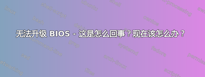 无法升级 BIOS - 这是怎么回事？现在该怎么办？