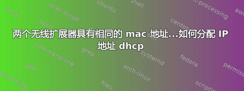 两个无线扩展器具有相同的 mac 地址...如何分配 IP 地址 dhcp