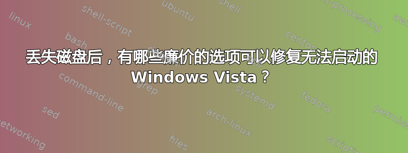 丢失磁盘后，有哪些廉价的选项可以修复无法启动的 Windows Vista？