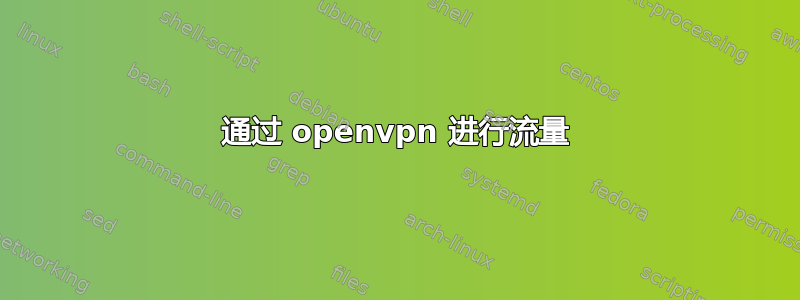 通过 openvpn 进行流量