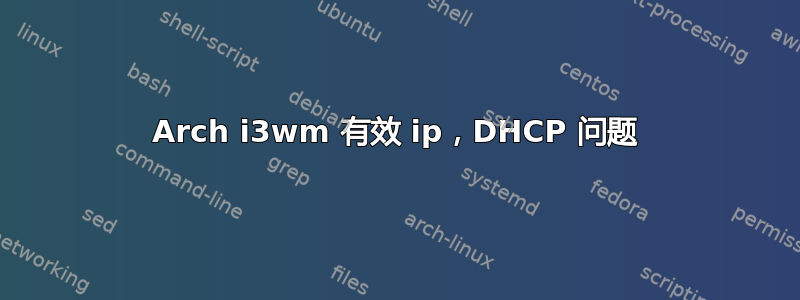 Arch i3wm 有效 ip，DHCP 问题