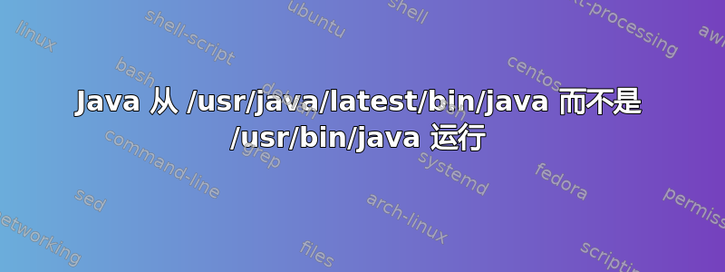 Java 从 /usr/java/latest/bin/java 而不是 /usr/bin/java 运行