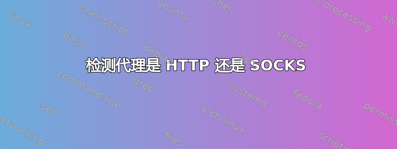 检测代理是 HTTP 还是 SOCKS