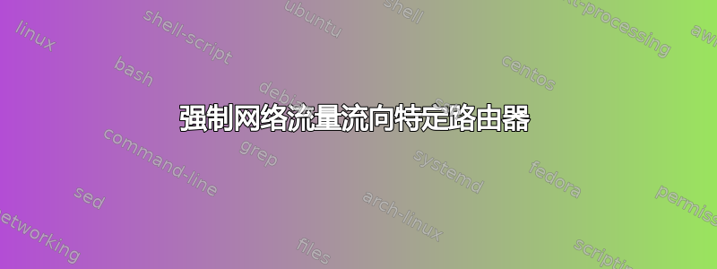 强制网络流量流向特定路由器