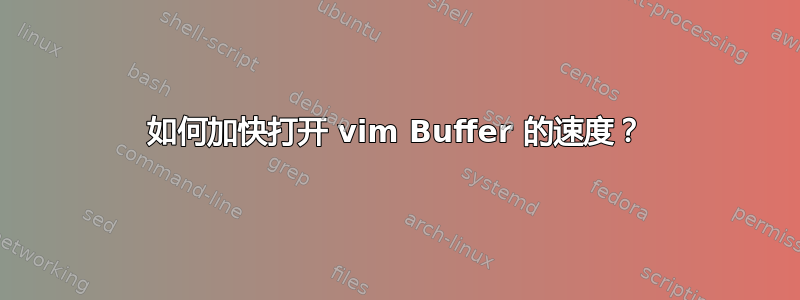 如何加快打开 vim Buffer 的速度？