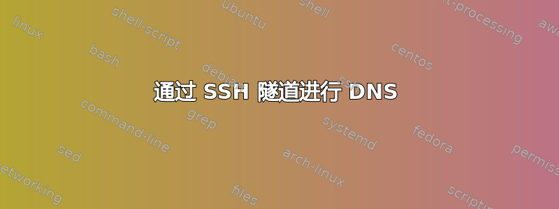 通过 SSH 隧道进行 DNS