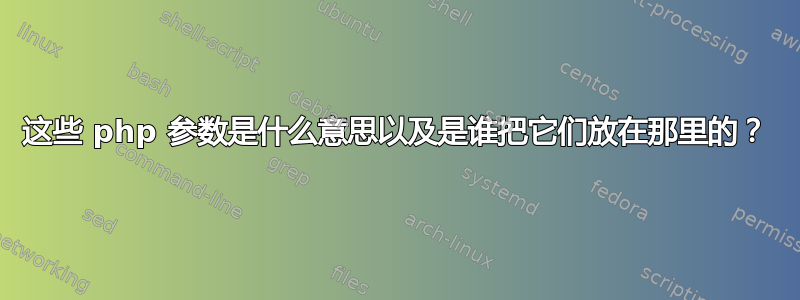 这些 php 参数是什么意思以及是谁把它们放在那里的？